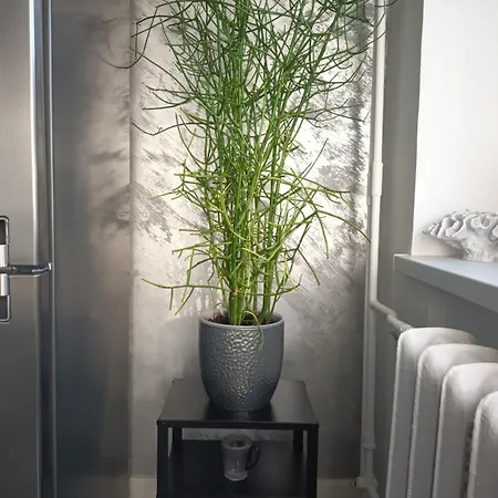 Apartment شقة تالين